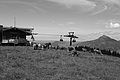L1003094 - Bernhard Saalfeld