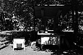 L1003099 - Bernhard Saalfeld