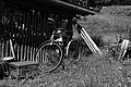 L1003102 - Bernhard Saalfeld