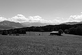 L1003108 - Bernhard Saalfeld