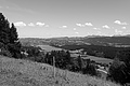 L1003110 - Bernhard Saalfeld