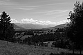 L1003112 - Bernhard Saalfeld