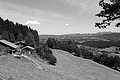 L1003113 - Bernhard Saalfeld
