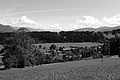 L1003115 - Bernhard Saalfeld