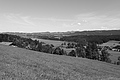 L1003116 - Bernhard Saalfeld