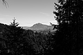 L1003119 - Bernhard Saalfeld