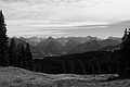 L1003131 - Bernhard Saalfeld