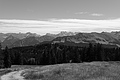 L1003132 - Bernhard Saalfeld