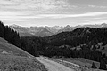 L1003134 - Bernhard Saalfeld