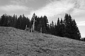 L1003135 - Bernhard Saalfeld