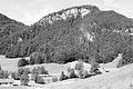 L1003136 - Bernhard Saalfeld