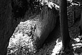 L1003147 - Bernhard Saalfeld