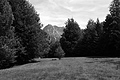 L1003151 - Bernhard Saalfeld