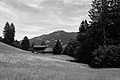 L1003152 - Bernhard Saalfeld