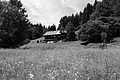 L1003153 - Bernhard Saalfeld