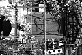 L1003157 - Bernhard Saalfeld
