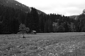 L1003163 - Bernhard Saalfeld