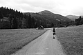 L1003164 - Bernhard Saalfeld