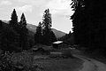 L1003167 - Bernhard Saalfeld