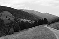 L1003168 - Bernhard Saalfeld