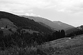 L1003169 - Bernhard Saalfeld