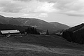 L1003170 - Bernhard Saalfeld