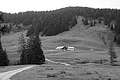 L1003172 - Bernhard Saalfeld