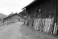 L1003175 - Bernhard Saalfeld