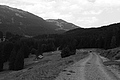 L1003176 - Bernhard Saalfeld
