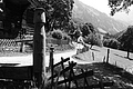 L1003182 - Bernhard Saalfeld