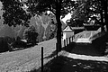 L1003209 - Bernhard Saalfeld