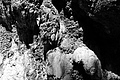 L1003213 - Bernhard Saalfeld