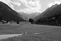 L1003214 - Bernhard Saalfeld