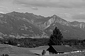 L1003216 - Bernhard Saalfeld