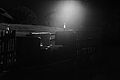 L1003217 - Bernhard Saalfeld