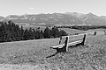 L1003220 - Bernhard Saalfeld