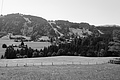 L1003222 - Bernhard Saalfeld