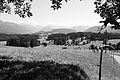L1003223 - Bernhard Saalfeld