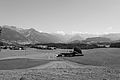 L1003224 - Bernhard Saalfeld