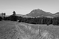 L1003230 - Bernhard Saalfeld