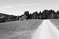L1003232 - Bernhard Saalfeld