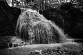 L1003234 - Bernhard Saalfeld