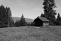 L1003235 - Bernhard Saalfeld