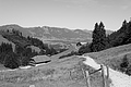L1003237 - Bernhard Saalfeld