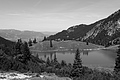 L1003260 - Bernhard Saalfeld