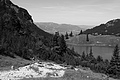 L1003283 - Bernhard Saalfeld