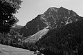 L1003287 - Bernhard Saalfeld