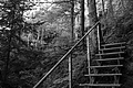 L1003302 - Bernhard Saalfeld