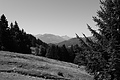 L1003308 - Bernhard Saalfeld