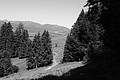 L1003310 - Bernhard Saalfeld
